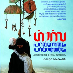 ഗാസ പറയുന്നതും പറയാത്തതും